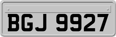 BGJ9927