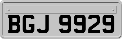 BGJ9929