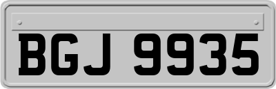BGJ9935