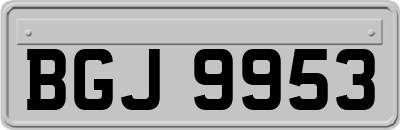 BGJ9953