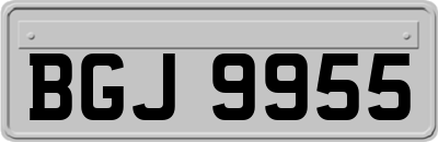 BGJ9955