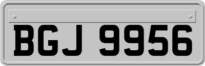 BGJ9956