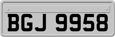 BGJ9958