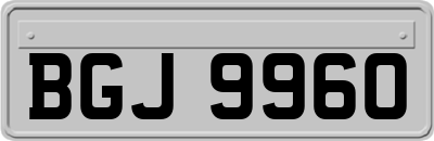 BGJ9960