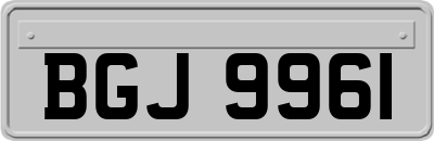BGJ9961