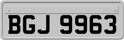 BGJ9963