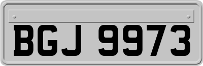 BGJ9973