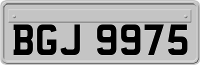 BGJ9975