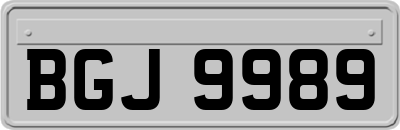 BGJ9989