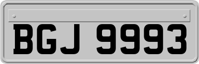 BGJ9993