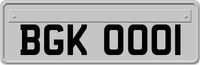 BGK0001
