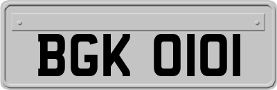 BGK0101
