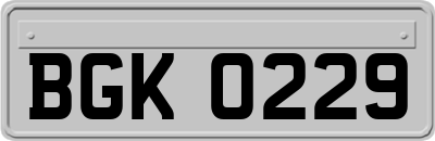 BGK0229