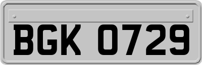 BGK0729