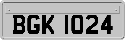 BGK1024