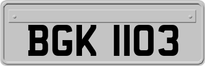 BGK1103