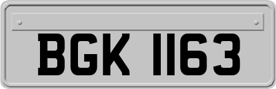 BGK1163