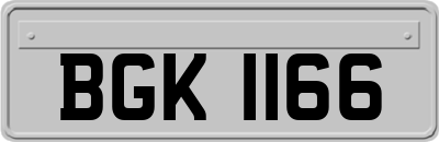 BGK1166
