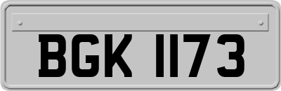 BGK1173