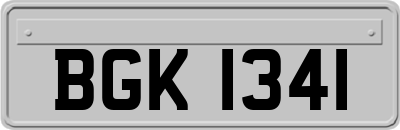 BGK1341