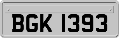 BGK1393