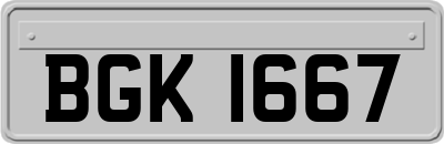BGK1667