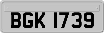 BGK1739