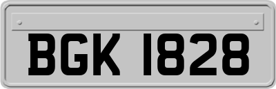 BGK1828