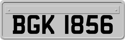BGK1856