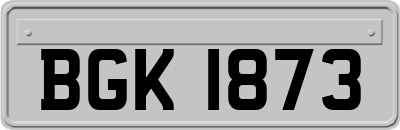 BGK1873