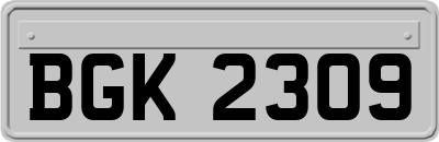 BGK2309