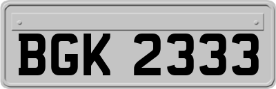 BGK2333