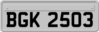BGK2503