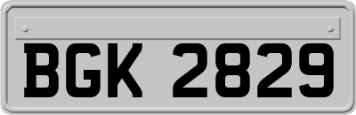 BGK2829