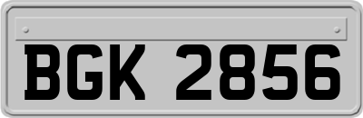 BGK2856