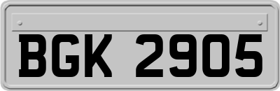 BGK2905