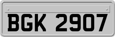 BGK2907