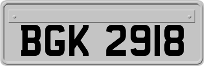 BGK2918