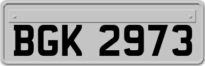 BGK2973