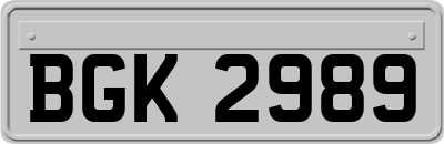 BGK2989