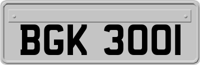BGK3001