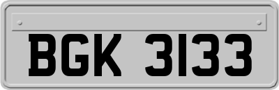 BGK3133
