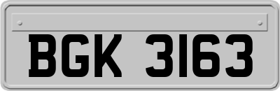 BGK3163