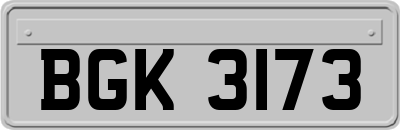 BGK3173