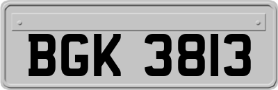 BGK3813