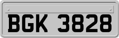 BGK3828