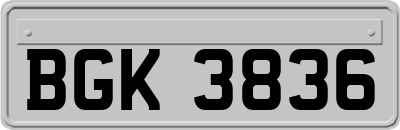 BGK3836