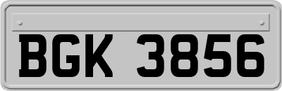 BGK3856