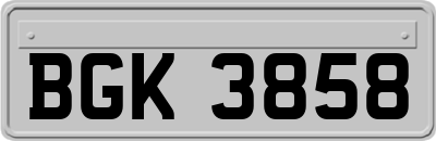BGK3858