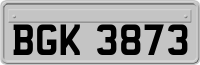 BGK3873